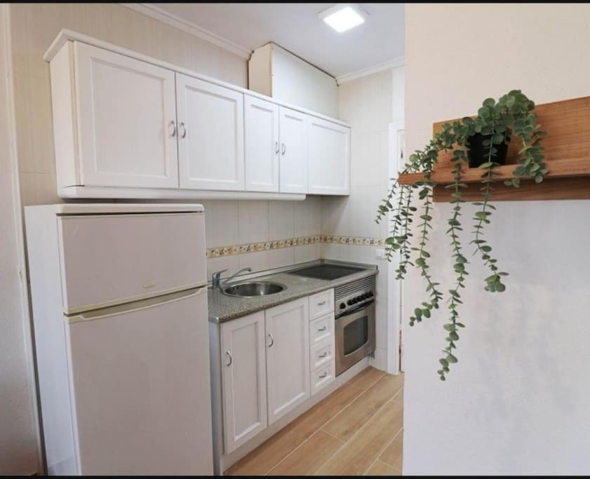 Brand New Apartment. 400 Meters Best Beach Torrevieja Exterior foto